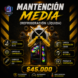 Mantención Media de PC